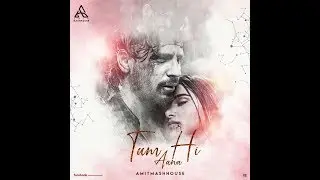 Tum Hi aana (Remix) - Amitmashhouse