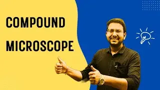 COMPOUND MICROSCOPE