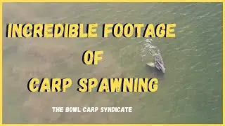 #carp #spawning #djimavicair Carp Spawning on The Bowl Syndicate