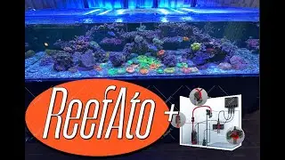 Red Sea ReefATO+ System installed on a WATERBOX AQUARIUMS INFINIA Frag 175.6