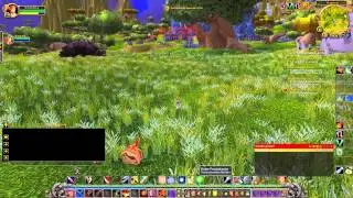 Let's Play Together [WORLD OF WARCRAFT : MoP] #134 - 22:00 Uhr Sethekhallen, Die Frisur sitzt{HD}