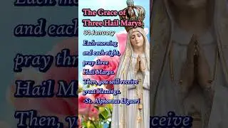 Three Hail Marys | Miracle Prayers for Mercy, Healing, Peace | 30 January