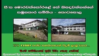 Morawakkorale tea coop is now with ISO 14001