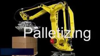 Robotic Palletizing Applications Montage