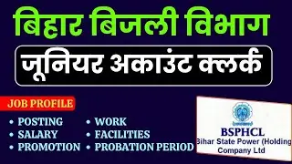 Bihar BSPHCL Junior Account Clerk Job Profile | Bihar Bijli Vibhag Bharti 2024