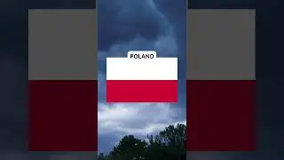 What is the Largest Animal in POLAND #poland #country #animals #wildlife #nature #geography #flag