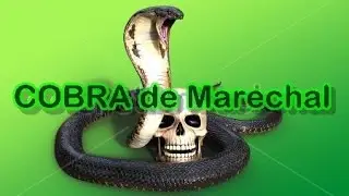 Saída do COBRA de Marechal Hermes 🐍 2016🐍