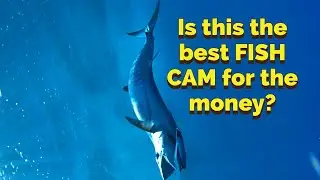 Is this the best UNDERWATER TROLLING CAMERA for the MONEY??