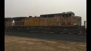 Union Pacific 6763's fdl16 engine idling.