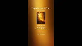 Golden Leaves in the Breeze 01 /무료 배경음악 #music #K-pop