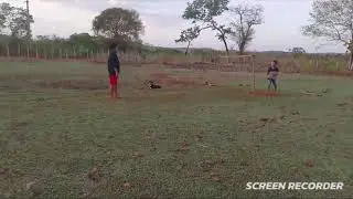 PT4