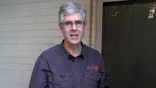 How do I prevent a Rodent Infestation? | Rodent Control Experts in NSW and ACT