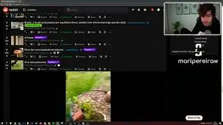 CELLBIT BRAVO COM UM ESPECTADOR QUE CR&Iacute;TICOU ELE NO CHAT POR 