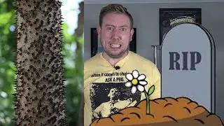 MHN Horror Fact Of The Day 143 (Death Fact Of The Week) Damn Nature   You Scary!!