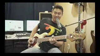 Musicman Stingray 5 Strings 30th anniversary & Etc...