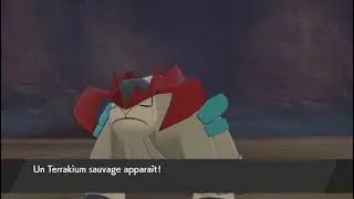 just a Terrakium shiny - 618 Camping reset in Pokemon Shield