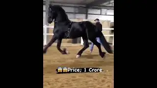 Amazing horse price 1 crore 😲😱