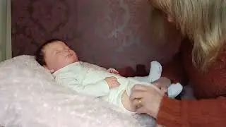 Sage asleep by Bountiful Baby for sale