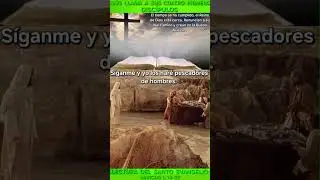 12 de enero de 2026