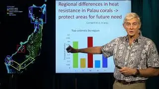 Collaborator Series: Dr. Steve Palumbi - Heat Resistant Coral (National Science Foundation)