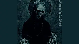 Cepheus - NEBULA