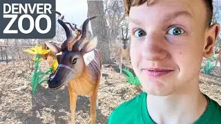 Exploring the Denver Zoo | Family-Friendly Fun in Colorado!