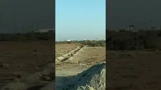 Basra region, West Qurnah