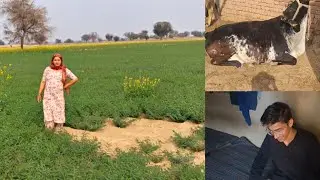 Aaj aaya 10 din baad ghar 😎 || Day 281