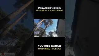 Jak ZAROBIĆ 15 000 zł w JEDEN dzień na wycince drzew?