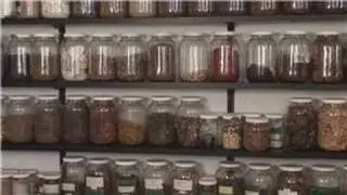 Natural Herbal Supplements : Nature Cures and Herbal Remedies