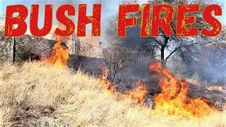 EROS PARK SUBURB BUSH FIRE IN WINDHOEK NAMIBIA SOUTHERN AFRICA