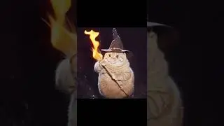 Wizard kitty uses fire spells #cat #ai #aicat #halloween