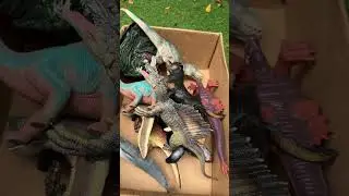 Hunting Jurassic World Toy Dinosaur Collection ASMR