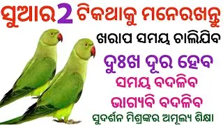 Learn two things from parrot। Odia Motivational Story। Sudarsan Mishra। Kahani।