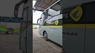 Malang-Yogyakarta Angkatan Pagi Cititransbusline #cititransbusline #busakap #shorts #fypviralシ #bus