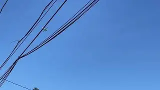 Cessna 208B Grand Caravan (N545GC) Skydiver Plane landing to Skydive Long Island over my house