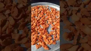 Wild apple candy #shorts #shortsvideo