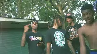 Bussetta Da Dondada - EPITOME