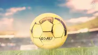 WB by Hemani's Goal Perfume for Men & Women - Exclusive FIFA Edition Fragrances