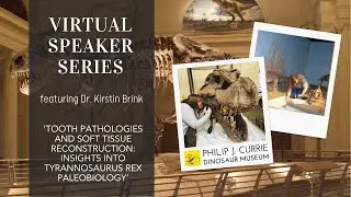 Kirstin Brink: Tooth pathologies and soft tissue reconstruction: Insights into T. rex paleobiology