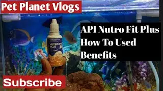 API Nutro Fit Plus  / Review / How To Used