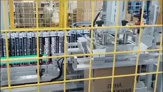 Automated End-of-Line Packing Machines For Aerosol Packaging Solution