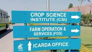 visit to NARC /National Agriculture research council/ vegetables in Islamabad