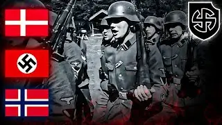 L&rsquo;&eacute;lite europea delle Waffen SS: Wiking
