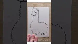 Alpaca Drawing #shorts #alpaca