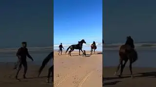 Who is Horse Lover ❤️🐎 #horse #racing #viralshort #foryou