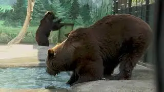 Проект 