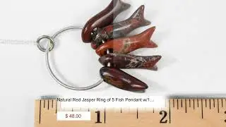 Natural Red Jasper Ring of 5 Fish Pendant w/18