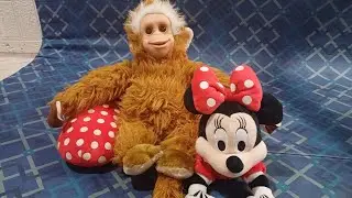 Mitch Miole is live with monkey and Mickey!