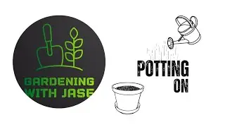 POTTING ON TIPS.